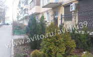 Продам квартиру двухкомнатную в панельном доме Куйбышева 43 недвижимость Калининград