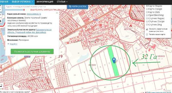 Кадастровая карта публичная калининградская область гурьевский район